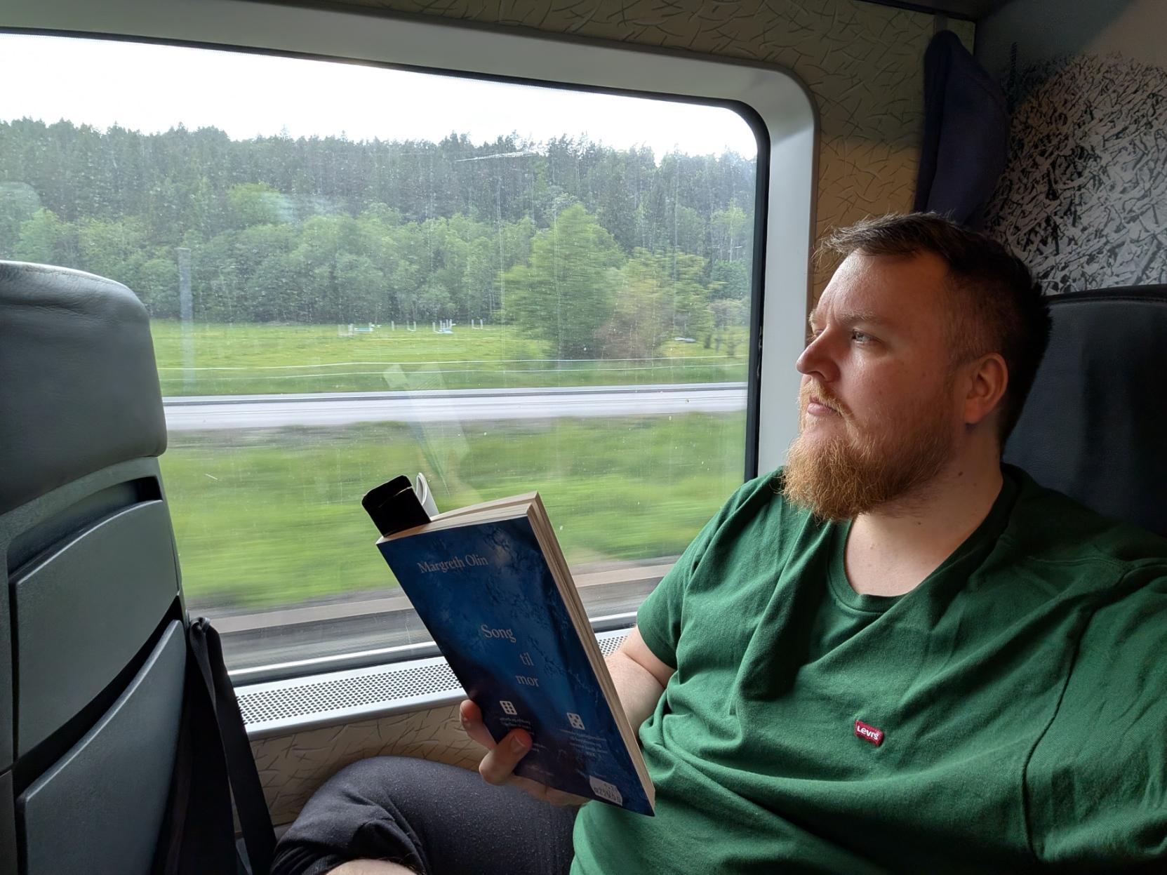 Ein mann med raudbrunt skjegg og grøn t-skjorte sit i eit passasjersete på eit Öresundståg og held ei open bok. Han kikkar ettertenksamt ut av det store togvindauget. Boka han held har eit blått omslag, det er Song til mor av Margreth Olin. Gjennom vindauget ser ein eit landskap i rørsle som fyk forbi, med ein grøn eng, tre, ein bilveg og ein tett skog i bakgrunnen under ein overskya himmel.