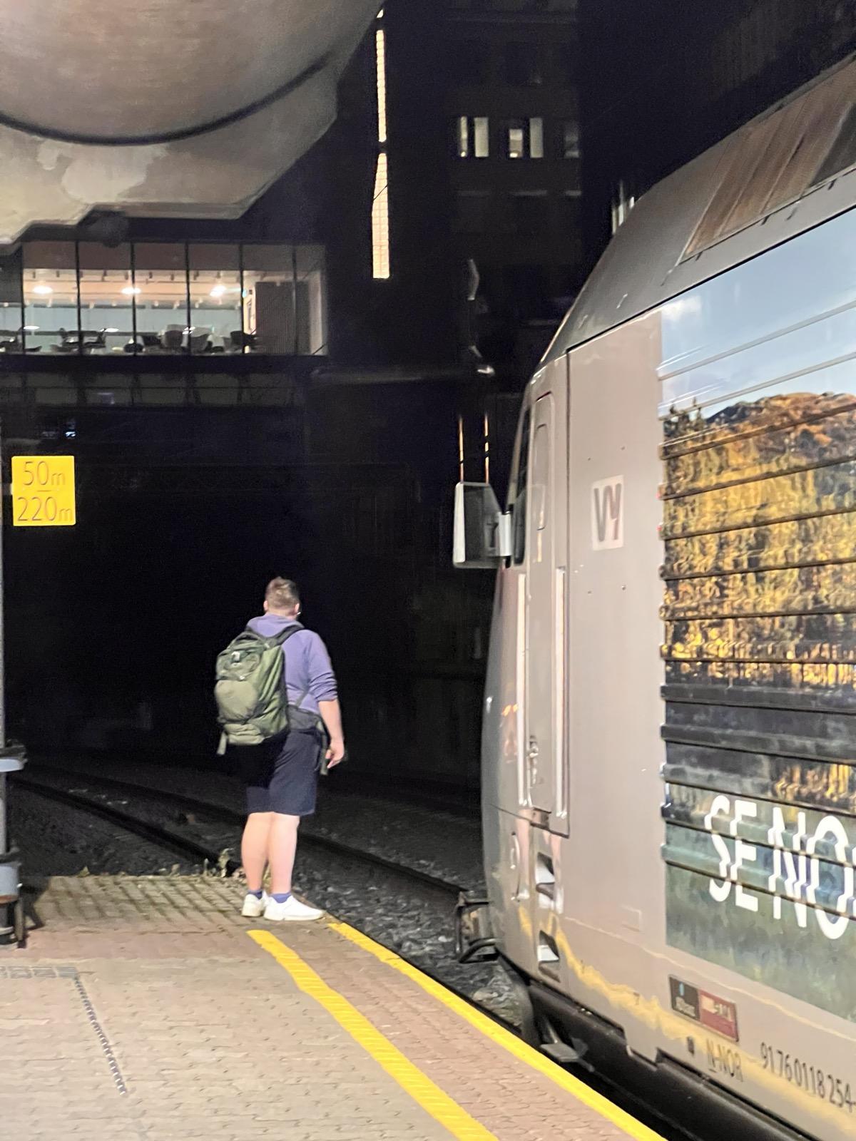Eit bilete teke bakfrå av ein mann med lilla langerma genser, mørkeblå shorts, kvite joggesko og ein olivengrøn ryggsekk, som står ytst på perrongen på Oslo Sentralstasjon (Oslo S) om kvelden og ser innover mot sporet. Til høgre fyller sida på eit elektrisk lokomotiv av typen El 18 (SLM/Adtranz) biletet, dekt av ein fotodekor med haustskog og fjell og teksten «SE NO…» i store, kvite bokstavar. Vy-logoen står i kvitt oppe på førarromssida, og nede ved rammeverket kan ein sjå UIC-nummeret «91 76 0118 254-1» og landsmerket «N-NOR». Til venstre heng eit gult perrongskilt med «50m» og «220m», og bak i mørket lyser vindauga i eit venterom. Den gule tryggleikslinja går langs den tomme perrongen i framgrunnen.

🚆 Tog: El 18 · Nr: 18 2254 · Stasjon: Oslo S · Bane: Bergensbanen · Selskap: Vy