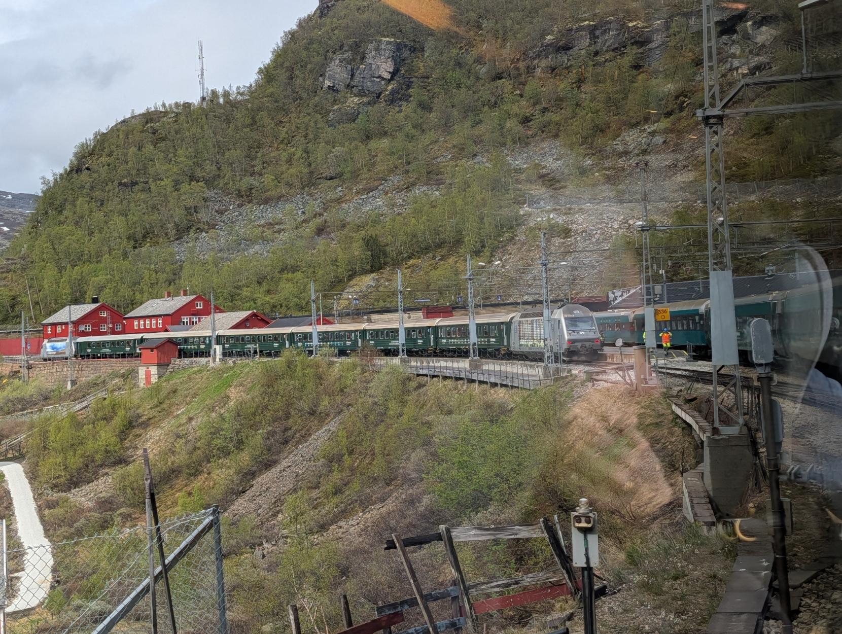 Utsyn fanga gjennom eit togvindauge på Myrdal stasjon, omkransa av eit bratt fjellandskap. Sentralt i biletet ser ein det klassiske, mørkegrøne togsettet til Flåmsbana i ein sving på veg ut frå stasjonen, trekt av eit grått elektrisk lokomotiv av typen El 18. På motsett perrong til høgre står det ljosare grøne toget til Bergensbanen klart til avgang vidare mot Bergen. I bakgrunnen, inst på stasjonsområdet, ser ein dei tradisjonelle, raudmåla stasjonsbygningane i tre. Omgivnadene rundt er prega av bratte, steinete fjellsider med karrig vegetasjon og spreidde bjørketre under ein ljos, overskya himmel.