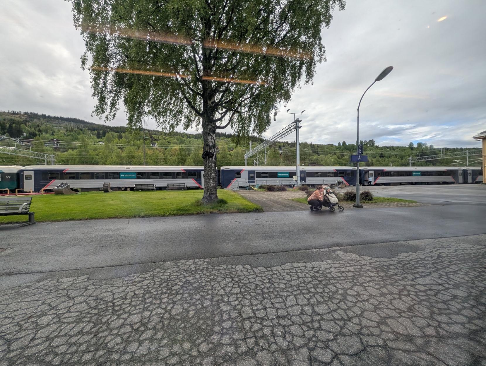 Utsyn gjennom eit togvindauge mot Ål stasjon på ein overskya dag. På motsett side av perrongen står eit F4-tog frå Oslo S til Bergen med sølvgrå og mørkeblå Type 7-vogner. Vognene har raude stripe-detaljar og eit grønt klistremerke der det står «Vy – Vi låner denne vogna». Framfor toget er det ein grøn plen med eit stort, frodig bjørketre i midten. Til høgre står ein person med ein barnevogn på den asfalterte perrongen under eit skilt merka «Ål». I bakgrunnen reiser det seg skogkledde åsar.